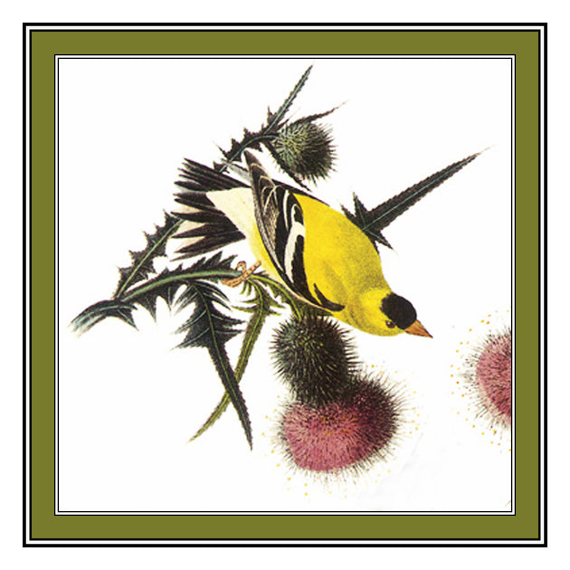 Eastern Meadowlark Bird Counted Cross Stitch Pattern - John James Audubon Design