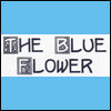 THE BLUE FLOWER DESIGNS