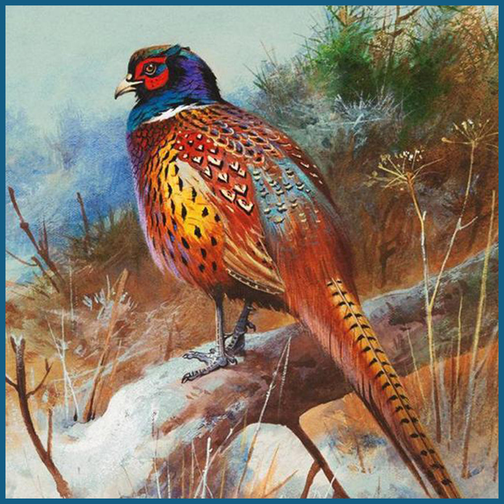 BIRD INSPIRED Counted Cross Stitch Charts Patterns