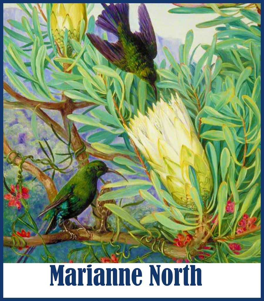 Marianne North INSPIRED Counted Cross Stitch Patterns