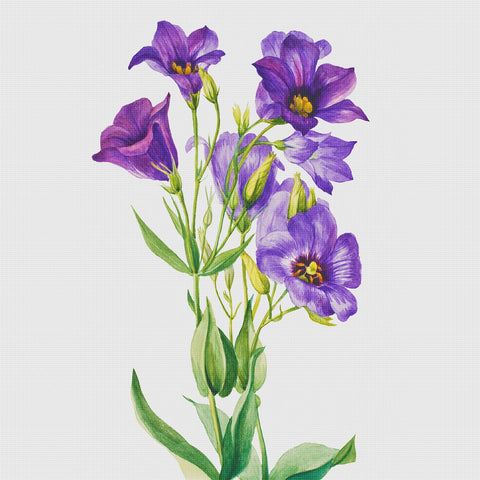 Bluebells Flowers Inspired by Mary Vaux Walcott Counted Cross Stitch Pattern DIGITAL DOWNLOAD