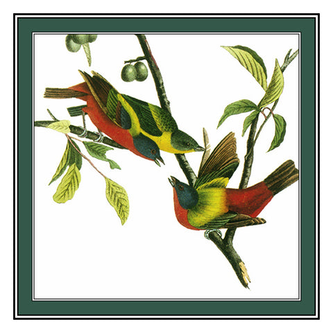 Painted Buntings Bird Illustration by John James Audubon Counted Cross Stitch Pattern