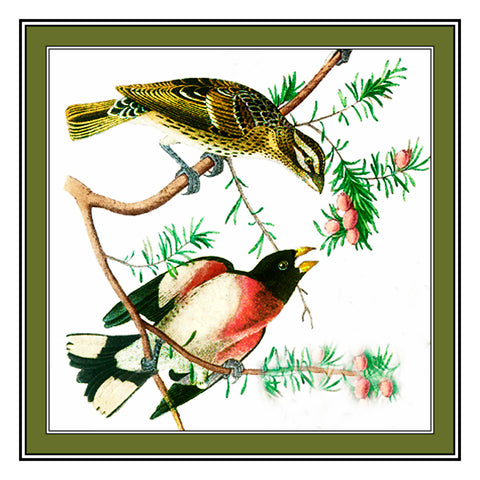 Pair of Grosbeaks Bird Illustration by John James Audubon Counted Cross Stitch Pattern