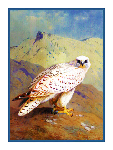 Gyr Falcon by Naturalist Archibald Thorburn's Bird Counted Cross Stitch Pattern
