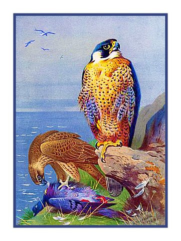 Eurasian Peregrin Falcon by Naturalist Archibald Thorburn's Bird Counted Cross Stitch Pattern