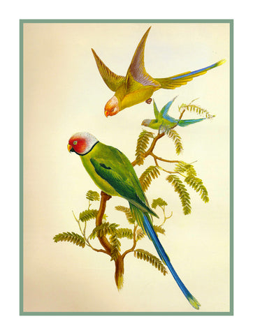 Blossom Headed Parakeets by Naturalist John Gould Birds Counted Cross Stitch Pattern