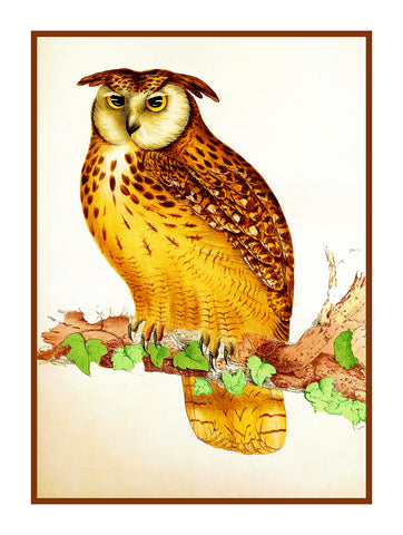 Indian Eagle Owl by Naturalist John Gould of Birds Counted Cross Stitch Pattern