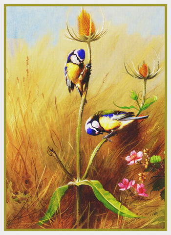 Bluetit Birds on Teasel by Naturalist Archibald Thorburn's Counted Cross Stitch Pattern