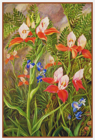 Marianne North's South African Ground Orchid Blossoms Counted Cross Stitch Pattern