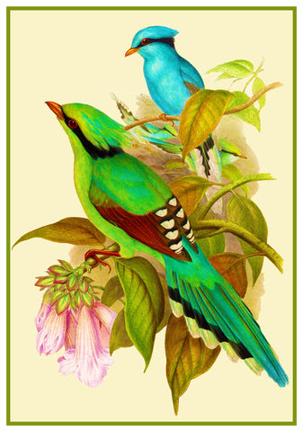 Green Magpie by Naturalist John Gould Illustration Birds Counted Cross Stitch Pattern DIGITAL DOWNLOAD