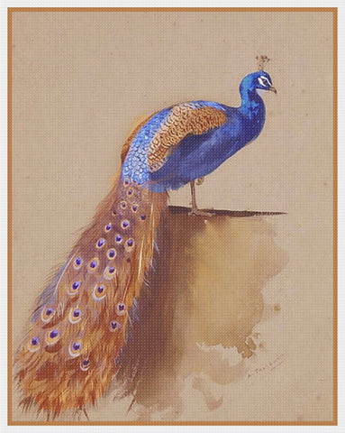 Peacock By Naturalist Archibald Thorburn's Bird Counted Cross Stitch Pattern DIGITAL DOWNLOAD