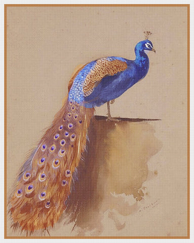 Peacock By Naturalist Archibald Thorburn's Bird Counted Cross Stitch Pattern