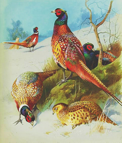Archibald Thorburn A Gathering of Pheasants Bird Counted Cross Stitch Pattern DIGITAL DOWNLOAD