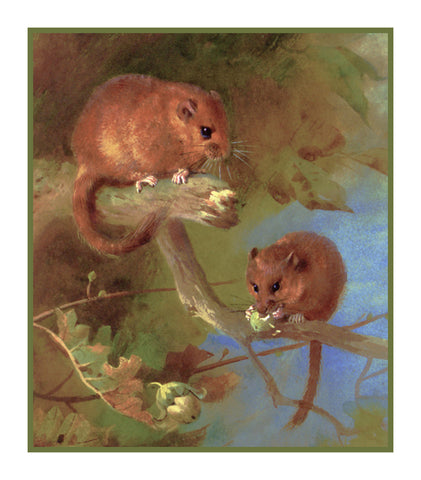 Dormice Mouse by Naturalist Archibald Thorburn's Animals Counted Cross Stitch Pattern