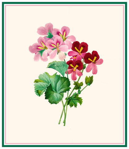 Cranesbill Geranium Flower Inspired by Pierre-Joseph Redoute Counted Cross Stitch Pattern