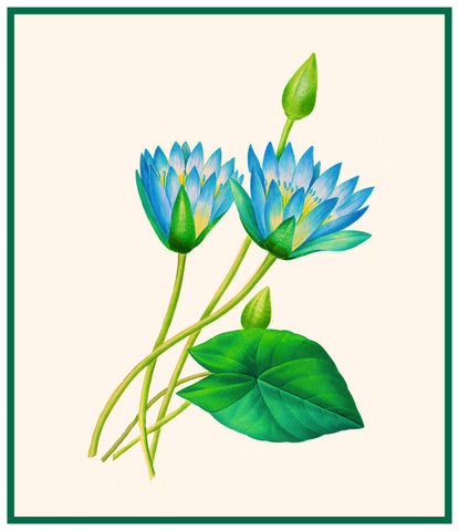 Egyptian Lotus Flowers Inspired by Pierre-Joseph Redoute Counted Cross Stitch Pattern
