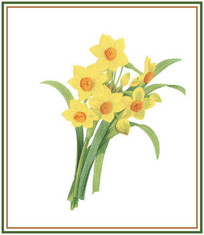 Daffodil Flowers Inspired by Pierre-Joseph Redoute Counted Cross Stitch Pattern DIGITAL DOWNLOAD