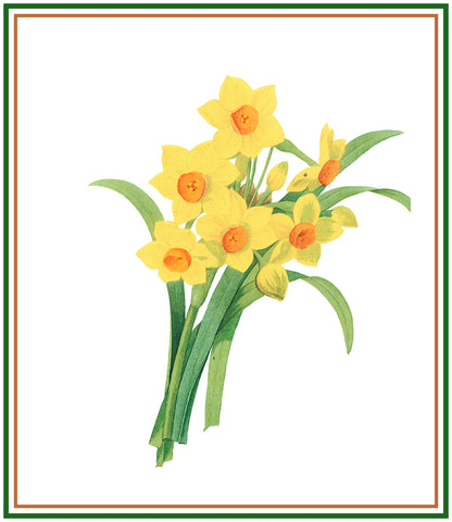 Daffodil Flowers Inspired by Pierre-Joseph Redoute Counted Cross Stitch Pattern