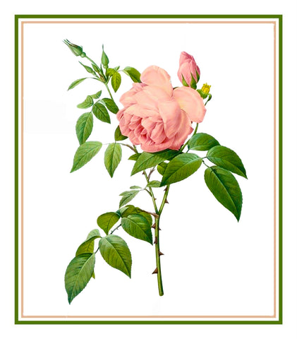 Fragrant Tea Rose Flower Inspired by Pierre-Joseph Redoute Counted Cross Stitch Pattern