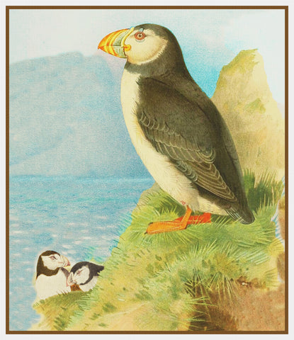 Archibald Thorburn Puffin Birds Counted Cross Stitch Pattern