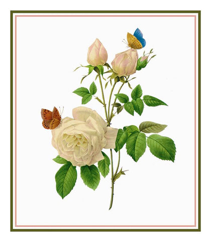 Tea Rose Flowers Inspired by Pierre-Joseph Redoute Counted Cross Stitch Pattern