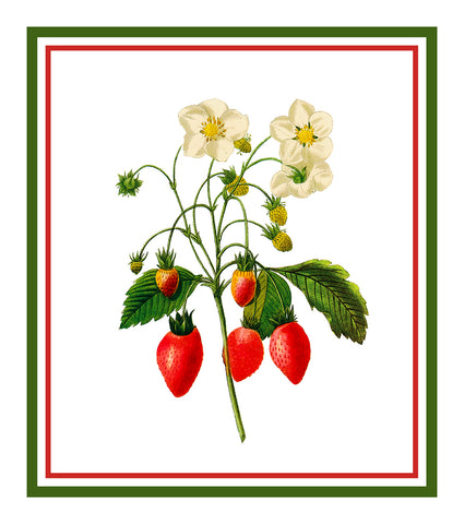 Strawberries Botanical Inspired by Pierre-Joseph Redoute Counted Cross Stitch Pattern