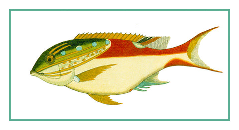 Fallours' Renard's Fantastic Colorful Tropical Fish 212 Counted Cross Stitch Pattern
