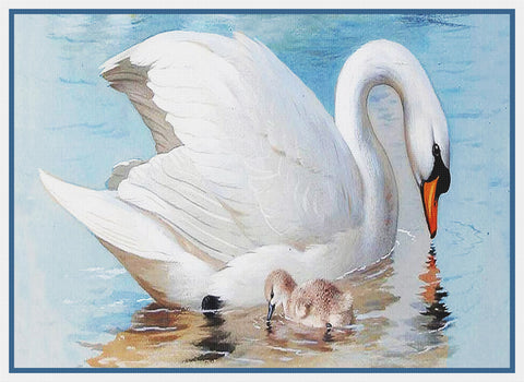 Archibald Thorburn Swan Mother and Baby Counted Cross Stitch Pattern