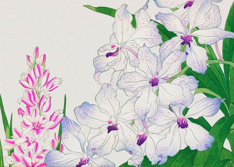 Tanigami Konan Asian Ixia Lily Flowers Counted Cross Stitch Pattern