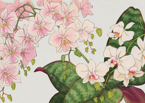 Tanigami Konan Asian Phalaenopsis Orchid Flowers Counted Cross Stitch Pattern
