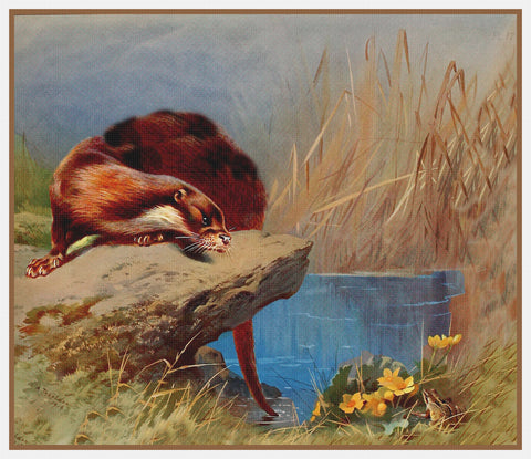 Archibald Thorburn Otter on the Rocks Counted Cross Stitch Pattern
