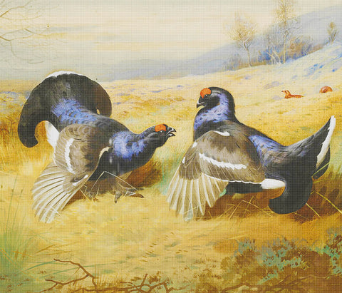Archibald Thorburn Pair of Black Grouse Bird Counted Cross Stitch Pattern