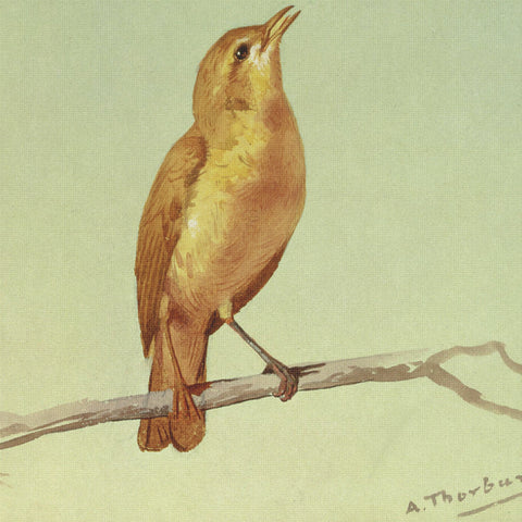 Archibald Thorburn Lark on a Branch Bird Counted Cross Stitch Pattern