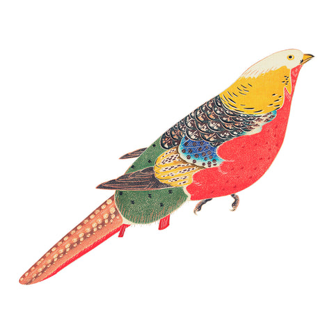 Golden Pheasant Detail by Japanese Artist Ito Jakuchu Counted Cross Stitch Pattern