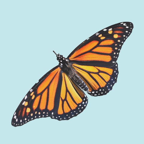 A Monarch Butterfly in Flight Counted Cross Stitch Pattern DIGITAL DOWNLOAD