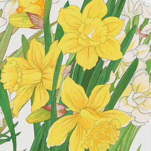 Tanigami Konan Asian Narcissus Flowers DETAIL Counted Cross Stitch Pattern