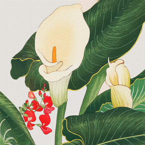 Tanigami Konan Asian Calla Lily Flowers DETAIL Counted Cross Stitch Pattern