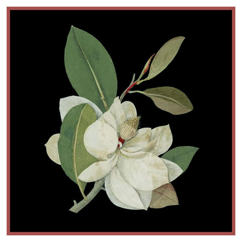 Magnolia Flower by Mary Delany Counted Cross Stitch Pattern DIGITAL DOWNLOAD