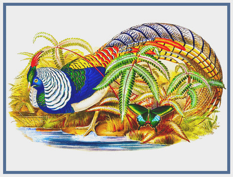 Lady Amherst's Pheasant by Naturalist John Gould Bird Counted Cross Stitch Pattern DIGITAL DOWNLOAD
