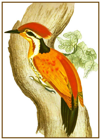 Golden Woodpecker by Naturalist John Gould Birds Counted Cross Stitch Pattern