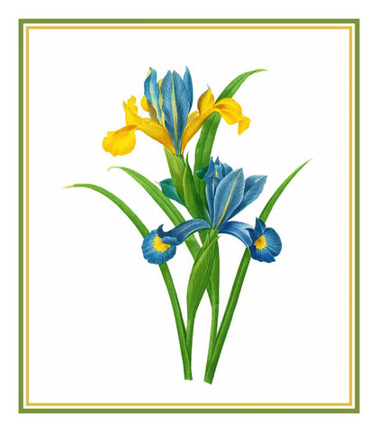 Spanish Iris Flower Inspired by Pierre-Joseph Redoute Counted Cross Stitch Pattern