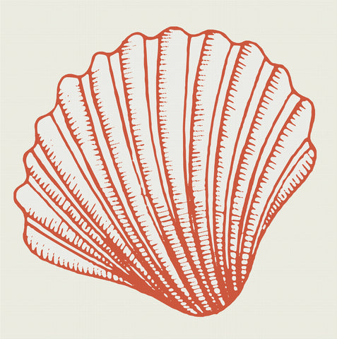 Orenco Originals Beach Sealife Nautical Pink Scallop Shell Counted Cross Stitch Pattern