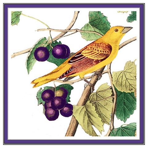Golden Tanager and Grapes Bird Illustration by John James Audubon Counted Cross Stitch Pattern