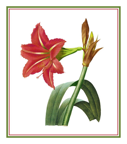 Amaryllis Flowers Inspired by Pierre-Joseph Redoute Counted Cross Stitch Pattern DIGITAL DOWNLOAD
