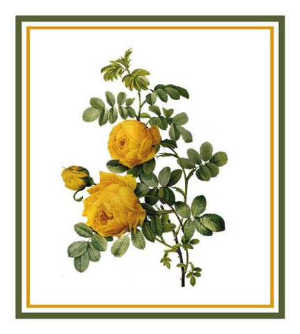 Sulfur Rose Flower Inspired by Pierre-Joseph Redoute Counted Cross Stitch Pattern