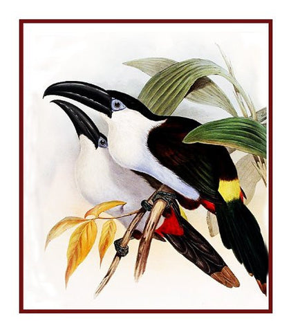 Black Billed Toucan by Naturalist John Gould of Birds Counted Cross Stitch Pattern