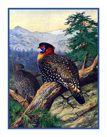 Western Tragopan Pheasant by Naturalist Archibald Thorburn's Birds Counted Cross Stitch Pattern