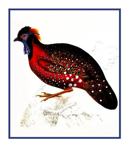 Crimson Horned Pheasant by Naturalist John Gould Birds Counted Cross Stitch Pattern