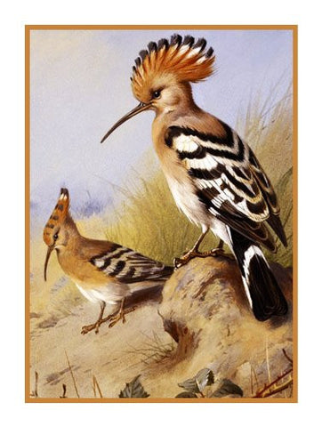 Crested Hoopoes By Naturalist Archibald Thorburn's Birds Counted Cross Stitch Pattern