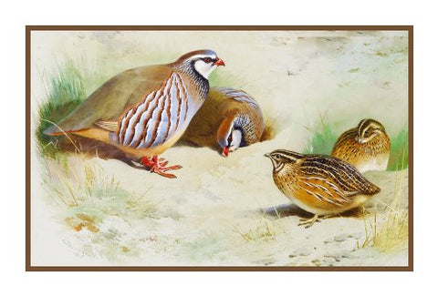 French Partridges and Chicks by Naturalist Archibald Thorburn's Birds Counted Cross Stitch Pattern